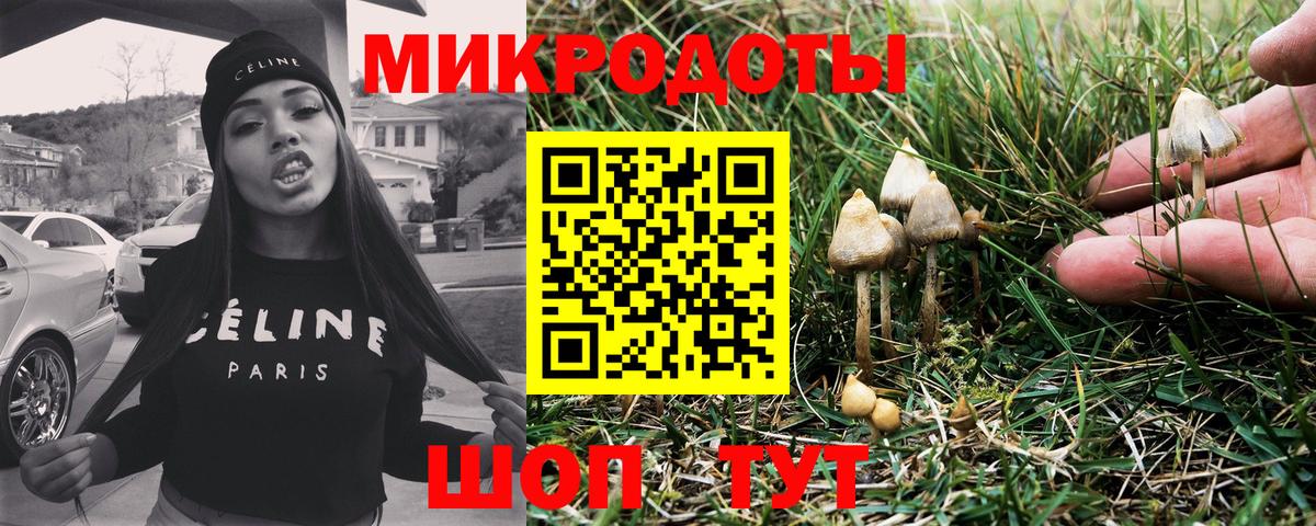 Галлюциногенные грибы Magic Shrooms Астрахань