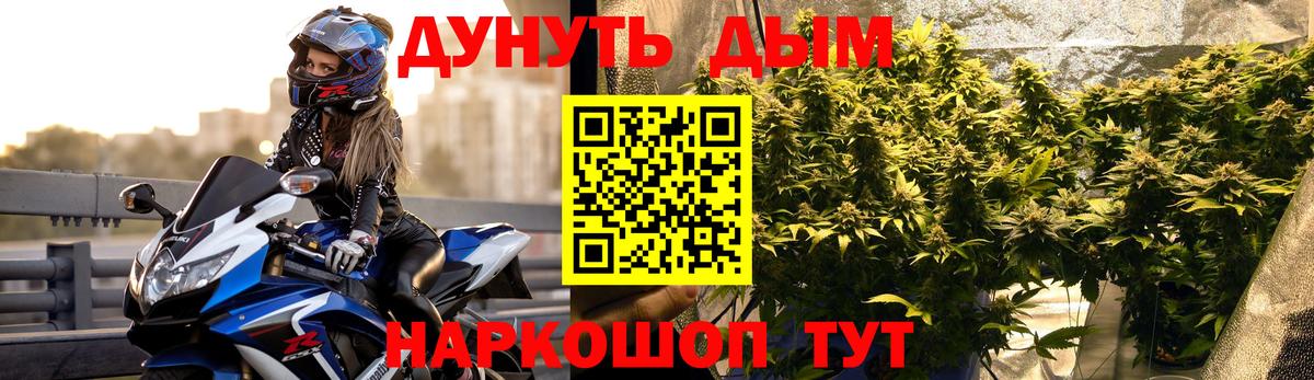 Шишки марихуана план Астрахань